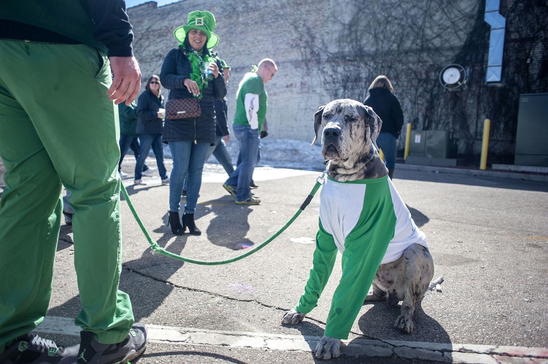 190317_GREEN07